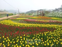 공주시, 국토미화사업 본격 착수