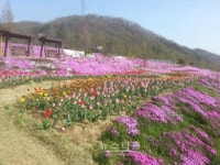 공주시, 국토미화사업 본격 착수