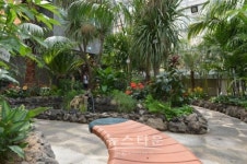 공주 산성시장 새 명물 휴 그린 탄생