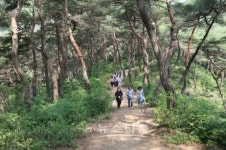 천년고찰 마곡사 토요무대, 21일 팡파르