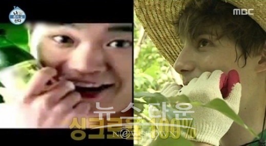 조성모의 매실 광고 패러디로 화제, 네티즌들 폭소와 긍정적 반응에 힘입어 웃음 자아내려 함 - 뉴스 종합