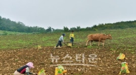 안반데기의 아침을 가다