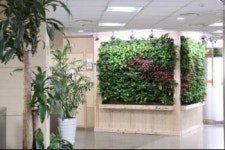 하츠, 120 다산콜센터에 버티컬 에어가든 설치