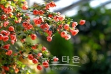 [여행] 세계꽃식물원, 봄을 만끽하려는 사람들로 북적