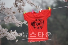 대구남구, 벚꽃가득한 앞산빨래터에서 마음의 때 씻으세요~