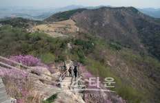 아산영인산, 형형색색의 꽃길 등산을 즐겁게 한다