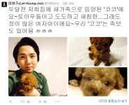 천개의 바람이 되어 임형주, 토이푸들 입양…족보도 있어요