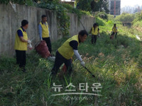 자연보호 오산시협의회 가장천 정화활동