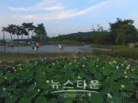 [여행] 아산 신정호관광지 전국 최대의 힐링여행코스로 인기