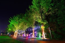 가보고싶은 곳 호반의 도시 춘천