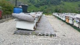 경남도, 양봉산업 육성대책 마련