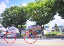 문악읍 파출소 앞, 읍사무소 앞에 불법행위 버젓