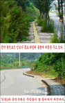 원주 문막 왕건로 뱀 나올까봐 겁나요