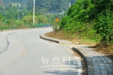 원주 문막 왕건로 뱀 나올까봐 겁나요