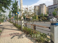 구리시 경춘로 띠녹지 조성 도시경관 보행환경 개선 딸기원~교문사거리 2KM 구간, 띠녹지 배열 친환경 이미지 제고