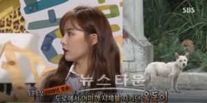 현아, 동물농장 속 따뜻한 맘씨 트위터에도…탱이야, 얼른 행복해지길