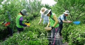 전국예능인노동조합연맹, 130만 예능인 위한 귀농귀촌 지원사업단 출범