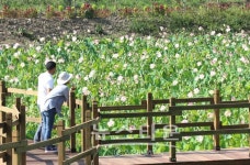 들꽃향기 그리우면  인제로 오세요