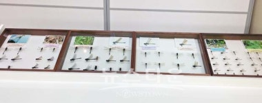 충주자연생태체험관, 잠자리 78종 746마리 표본 전시