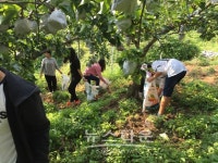 남양주시 진접읍내곡2리 경로당