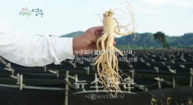 「2016경북영주풍기인삼축제」