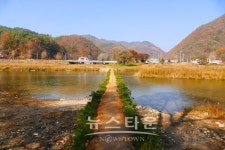 [뉴타포토]영월군 주천면 판운리의 가을 낭만