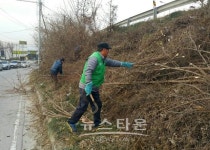 남양주시 진접읍 새마을지도자협의회 이웃을 위한 위험수목 등 잡목제거 봉사