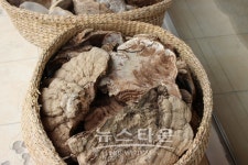 [뉴타TV]도도걸 걸그룹 판타스티와 함께 떠나는 극한먹방 라이브, 오대산 산채마을 황태구이정식 맛집 가마솥식당 편 영상 공개