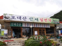 [뉴타TV]도도걸 걸그룹 판타스티와 함께 떠나는 극한먹방 라이브, 오대산 산채마을 산채정식 맛집 산채 일번가 편 영상 공개