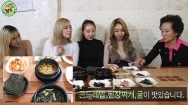 [뉴타TV]도도걸 걸그룹 판타스티와 함께 떠나는 극한먹방 라이브, 오대산 산채마을 곤드레밥 맛집 진고개식당 편 영상 공개