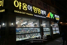강아지분양 전문 야옹아 멍멍해봐 전주점, 분양 동물정보 공개...분양 붐 조성