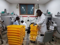 남양주시, 유산균 혼합제 확대 공급으로 구제역 막는다.!