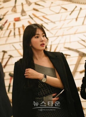 서경덕과 안내서 배포 송혜교, 