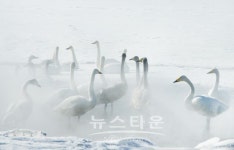 제3회 빛사진연구회 사진전