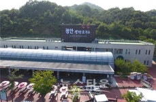 공주 정안알밤휴게소 명칭변경 효과 톡톡