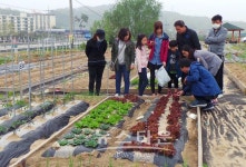 충주시, 도시텃밭체험에 참여할 가족 모집