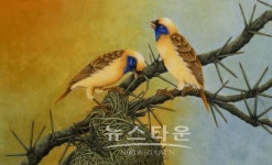 제31회 創石會展