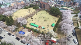 순천향대학교 벚꽃만개 차는 두고 오세요