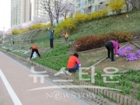 생태 힐링(Healing)공간! 야생화단지 관리작업 실시