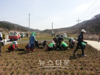 횡성군 서원면, 색깔있는 가로환경 조성 사업 추진