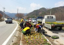 횡성군 서원면, 색깔있는 가로환경 조성 사업 추진