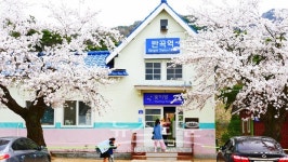 원주 반곡역은 봄날