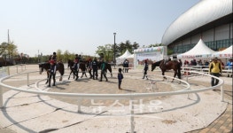 화성시, 제63회 경기도체육대회 화합·축제의 장
