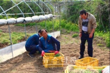 경기도의회 염동식 부의장, 양주 부추농장 방문 현장간담회 열어