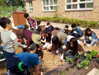 남양주시, 즐기면서 배우는 학교텃밭 가꾸기