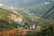 대구 앞산 흉물 케이블카... 안전점검 내용은 비공개?