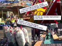 인천 인화여고 시티즌 팀 시각으로 본 월미공원의 현주소