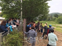 남양주시 진건읍 이장협의회, 365일 꽃향기 가득한 힐링천, 사능천 꽃길 조성