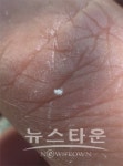평택시 외래․돌발해충 방제에 총력 !!