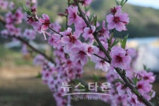 양평 별내마을과 무인카페 별내 이야기를 지키는 사람들